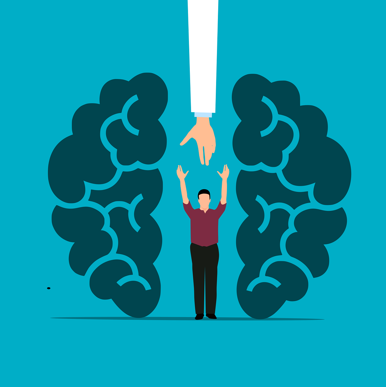 Redes de apoyo en salud mental.