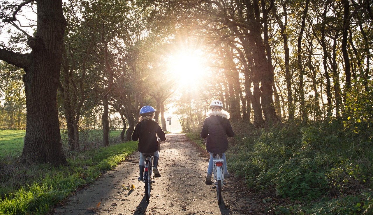Niños en bicicleta recorriendo un bosque